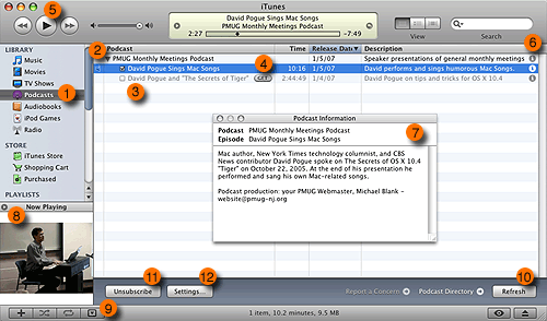 graphic showing the Podcasting playlist in iTunes